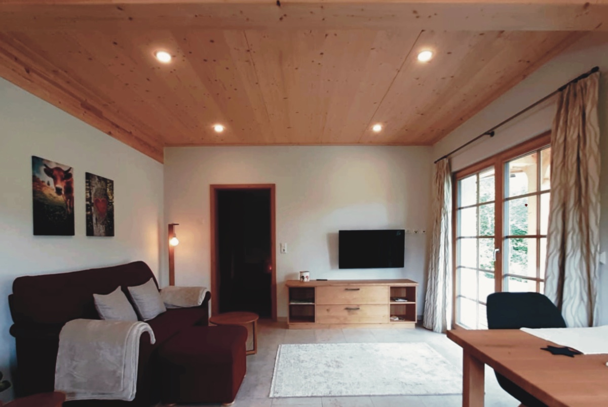 Innenansicht Wohnraum mit Sofa
