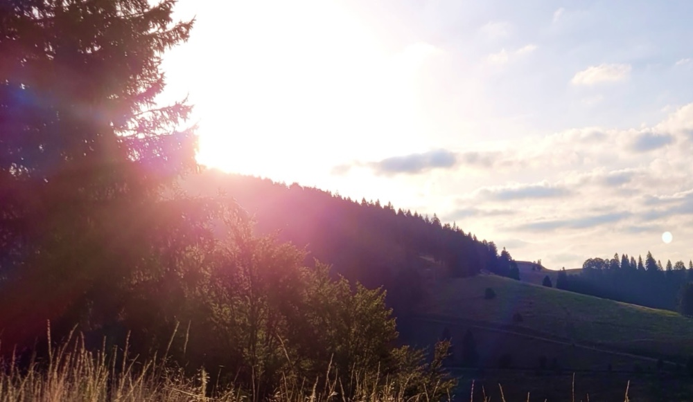 Hero Bild, Landschaft mit Sonne